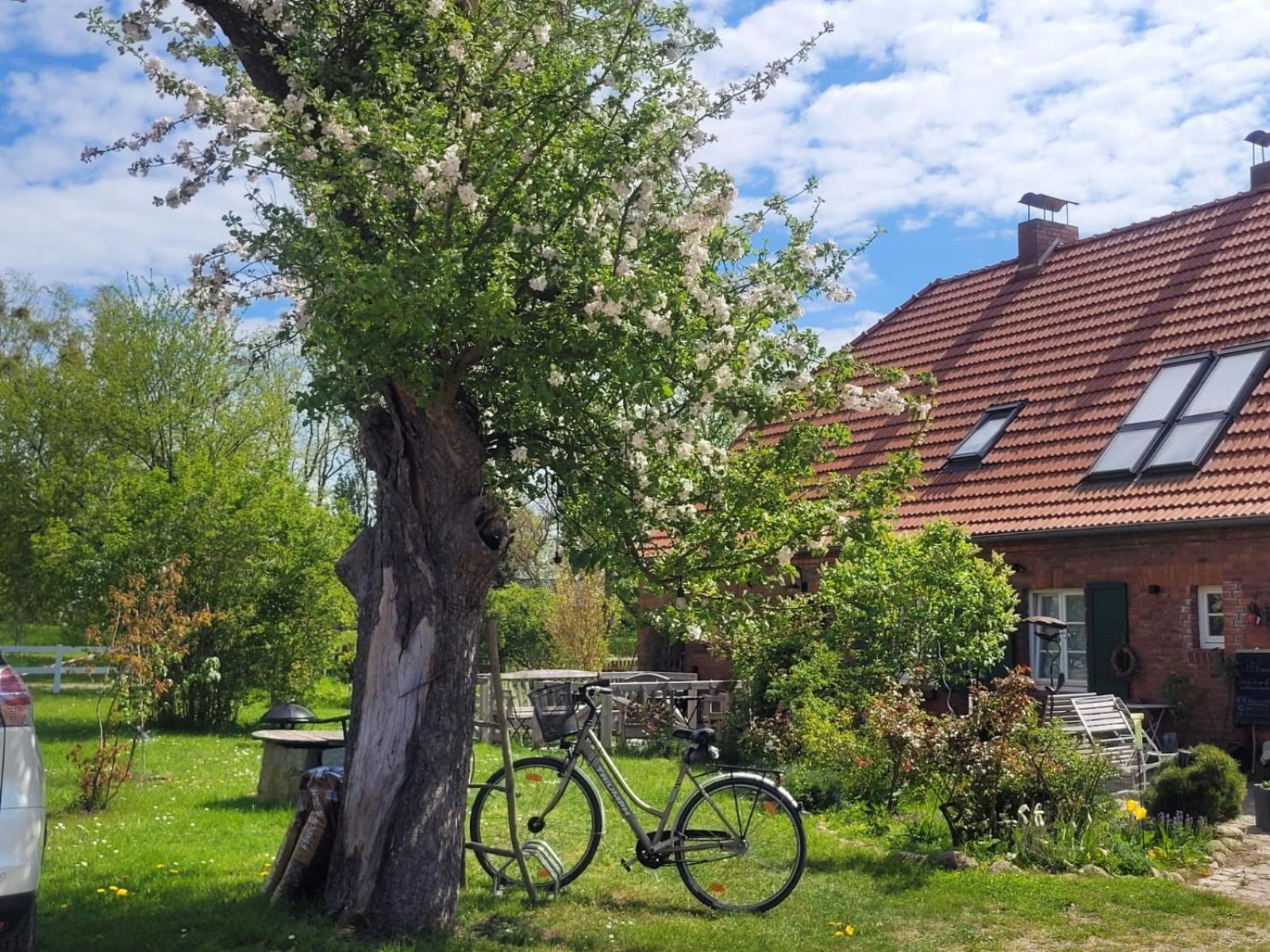 Seminar Und Landhaus Schoenbeck Dış mekan fotoğraf
