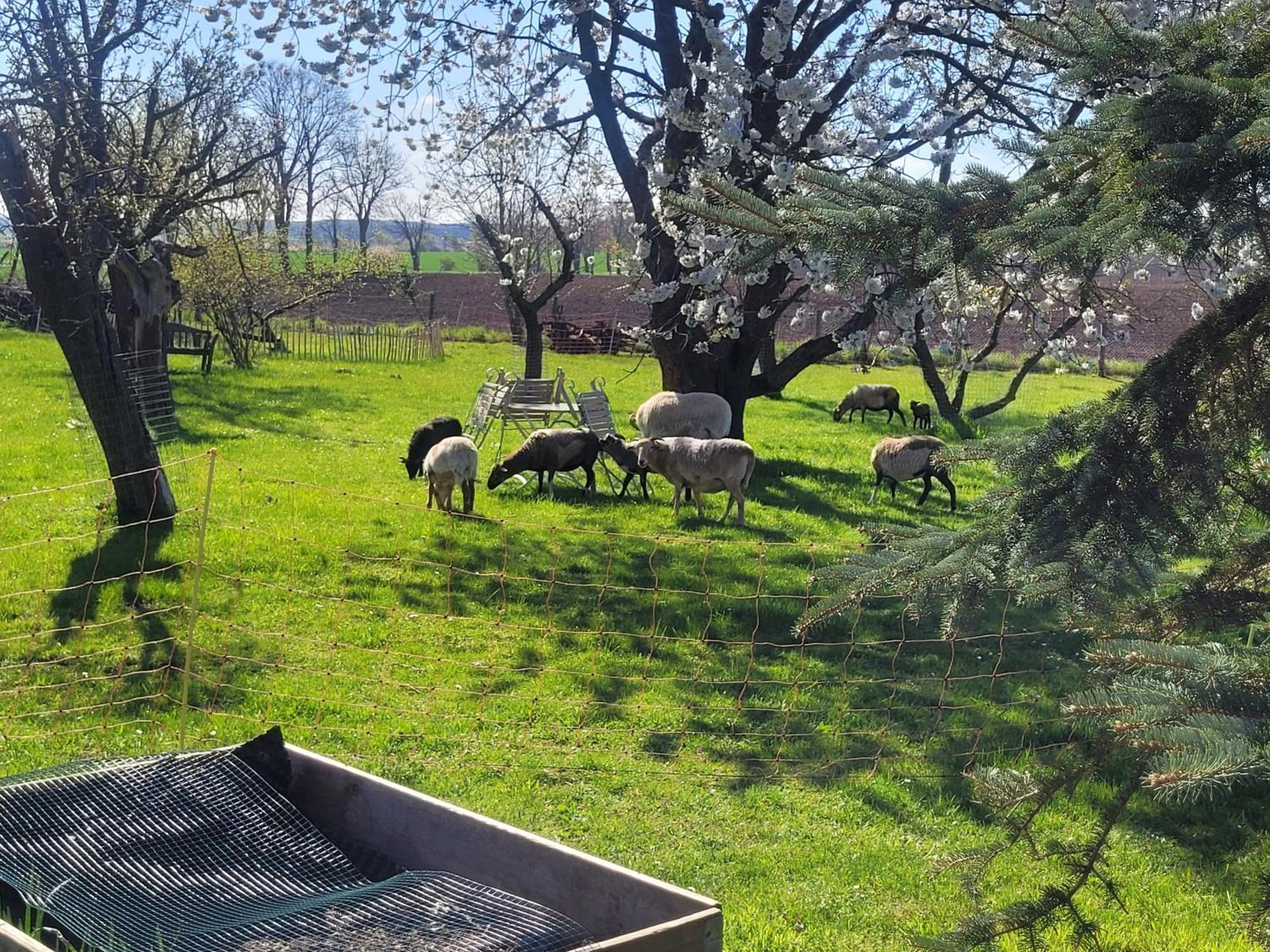 Seminar Und Landhaus Schoenbeck Dış mekan fotoğraf
